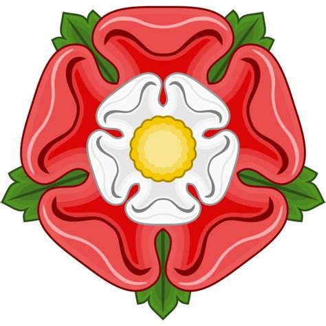 rosa dei tudor tattoo|tudor rose henry vii.